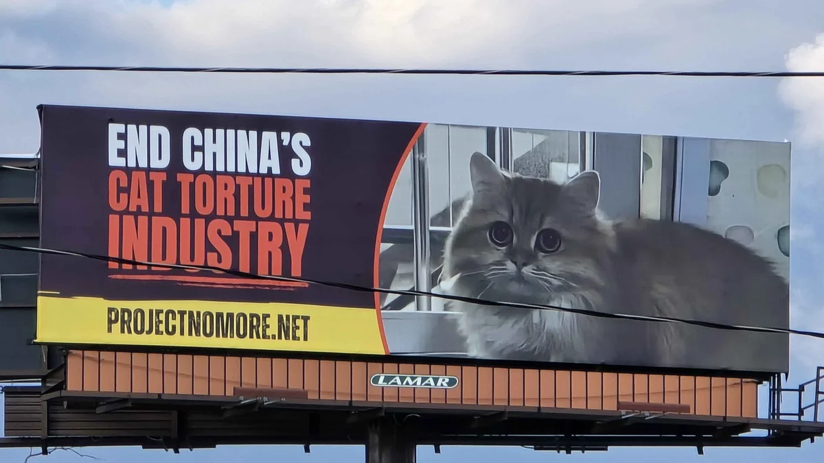 The Atlanta billboard: END CHINA'S CAT TORTURE INDUSTRY with Monica's photo