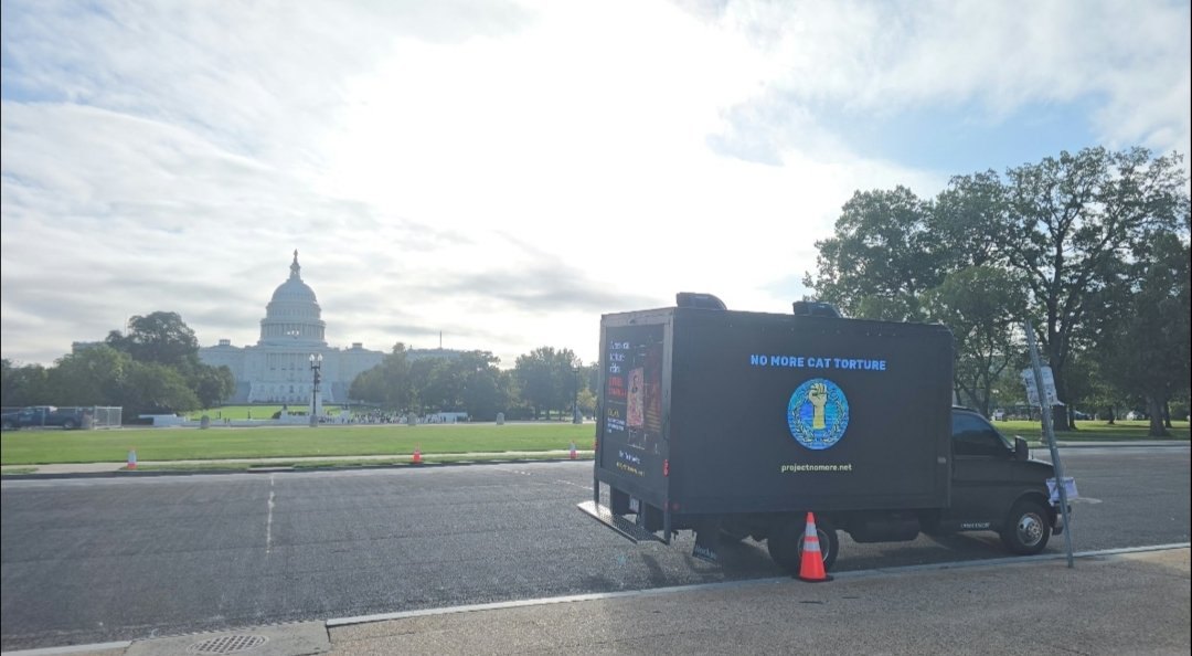 The Project No More campaign truck parked on Constitution Avenue with the U.S. Capitol dome in the background, its side screen reading NO MORE CAT TORTURE