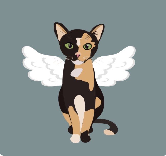 Millie angel artwork